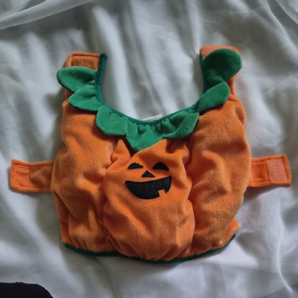 Top Paw Pumpkin Costume for Dogs- Orange and Green